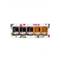 Etiuda Set de 5 Mignonettes x 100mL